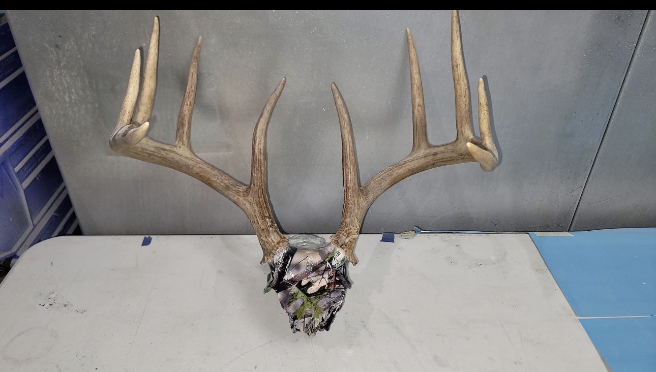 European Mount · Forest Camo